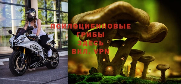 Альфа ПВП Карталы